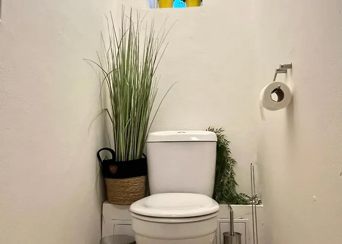 Cecil - Old Town Bratislava